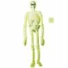 30460-scheletro-fluorescente-pvc.jpg 30460 SCHELETRO fluorescente PVC