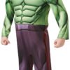 3640893 Deluxe hulk 09-10y9
