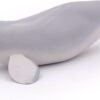 Papo - Beluga whale