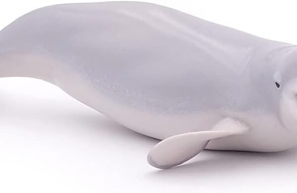 Papo - Beluga whale
