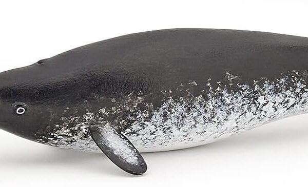 Papo - Narwhal