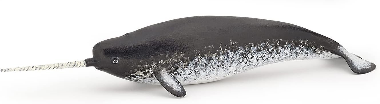 Papo - Narwhal