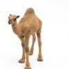 Papo - Dromedary