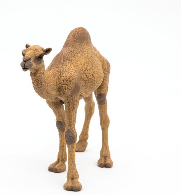 Papo - Dromedary