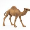 Papo - Dromedary