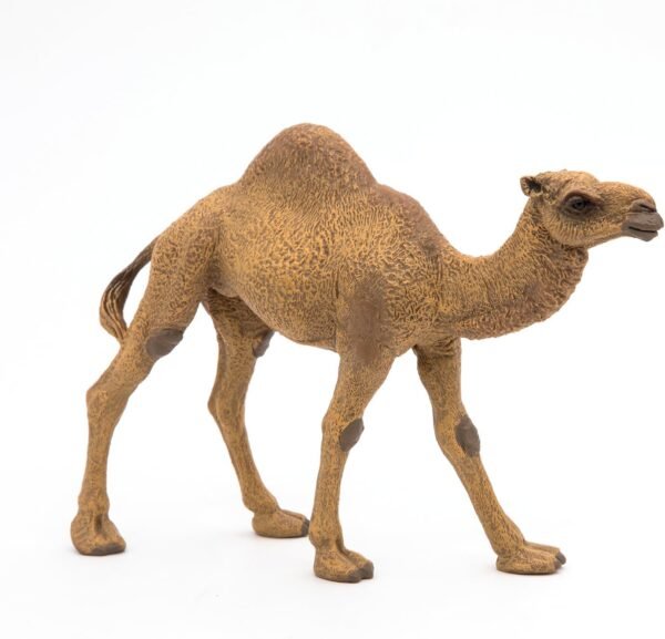 Papo - Dromedary