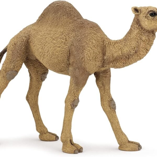 Papo - Dromedary