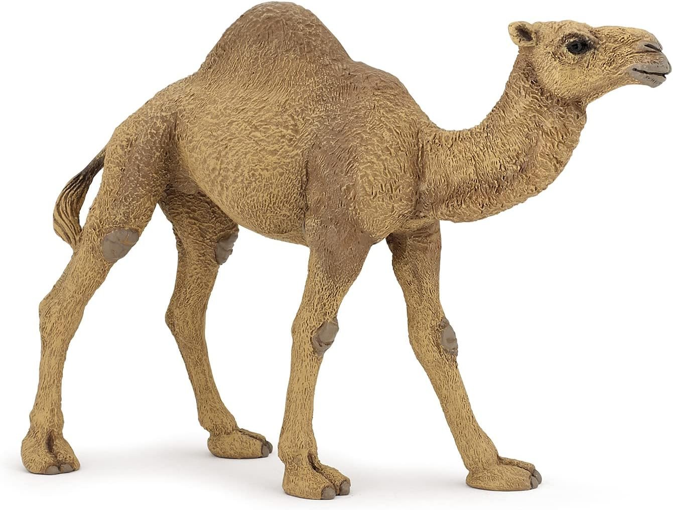 Papo - Dromedary