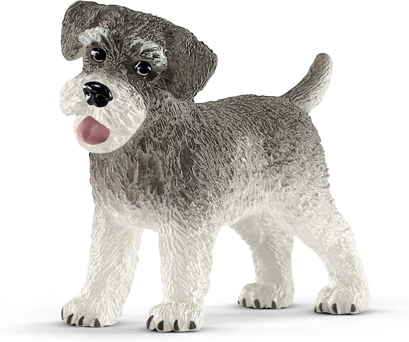 PV0108-13892 - Miniature schnauzer
