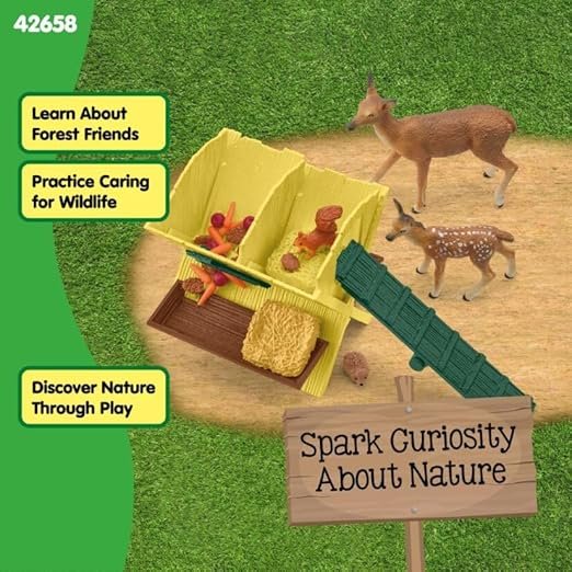 Mangiatoia nel bosco - immagine 3