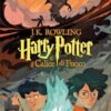 HARRY POTTER E IL CALICE DI FUOCO