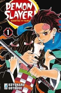 DEMON SLAYER. KIMETSU NO YAIBA. VOL. 1