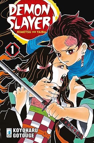DEMON SLAYER. KIMETSU NO YAIBA. VOL. 1