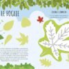 ACTIVITY BOOKS - LA NATURA - ITALIANO R. MARCOLIN, FUORINORMA DI MATTEO GAULE