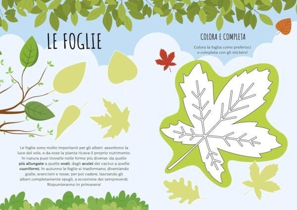 ACTIVITY BOOKS - LA NATURA - ITALIANO R. MARCOLIN, FUORINORMA DI MATTEO GAULE