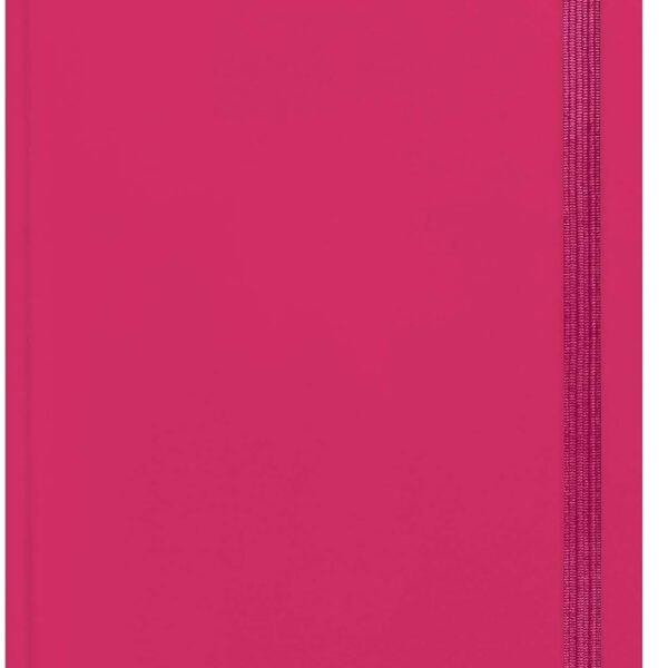 agenda-12-mesi-2026-maxi-daily-diary-raspberry.jpg AGENDA 12 MESI - 2026 -
MAXI DAILY DIARY -
RASPBERRY