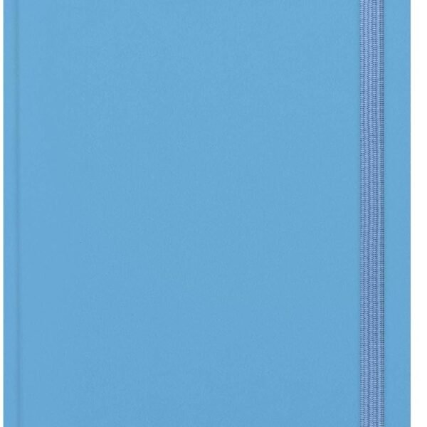 AGENDA 12 MESI - 2026 -
MAXI DAILY DIARY - RETRO
BLUE