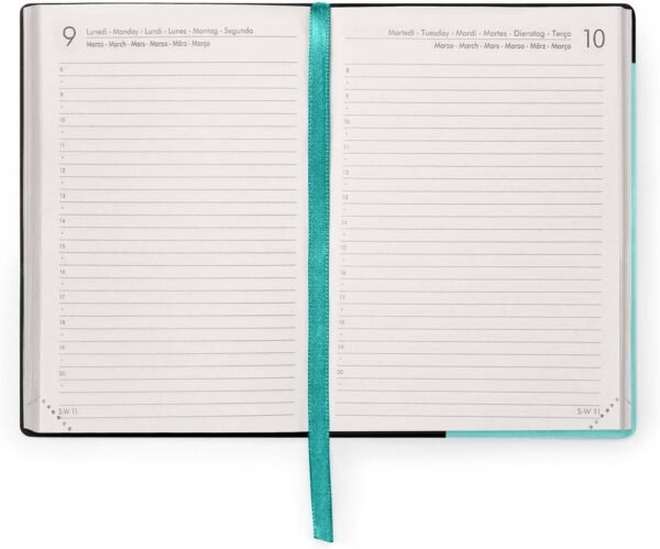 Agenda 16 mesi - 2025/2026 - small daily diary - aquatic awe
