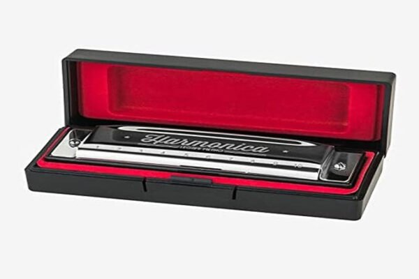 ARMONICA DIATONICA -
HARMONICA