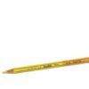 AST 12 GIOTTO STILNOVO BICOLOR