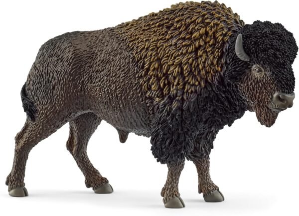Bison