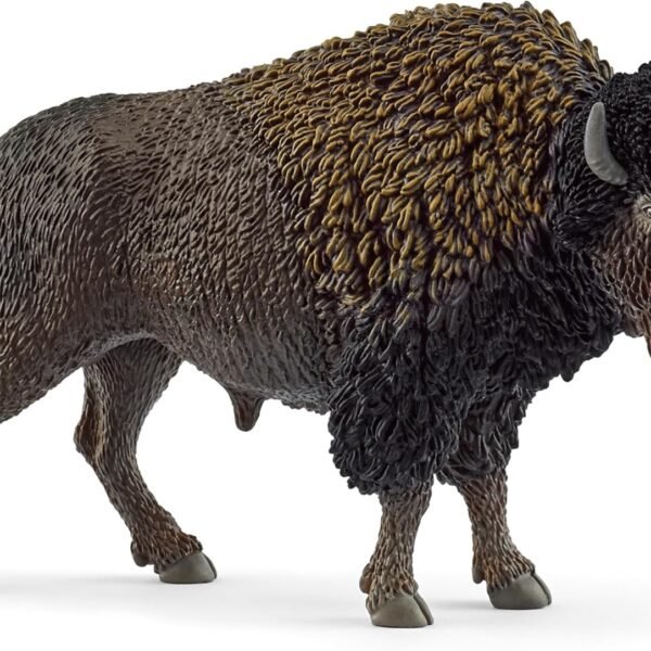 bison.jpg Bison