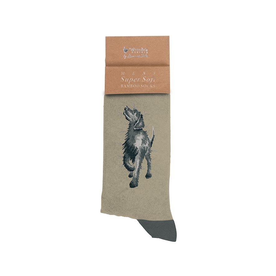 Black Labrador Men's Sock - Walkies