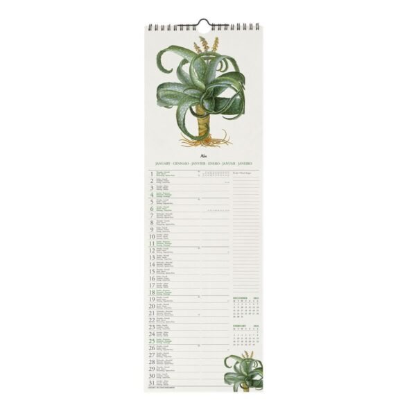 CALENDARI DA PARETE -
2026 WALL CALENDAR -
HERBARIUM - 16x49 - NATURE