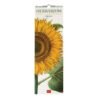 CALENDARI DA PARETE -
2026 WALL CALENDAR -
HERBARIUM - 16x49 - NATURE