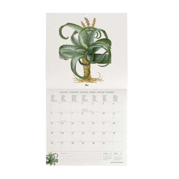 CALENDARI DA PARETE -
2026 WALL CALENDAR -
HERBARIUM - 30x29 - FOOD &
DRINK