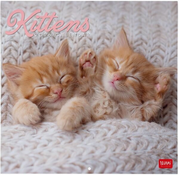CALENDARI DA PARETE -
2026 WALL CALENDAR -
KITTENS - 30x29 - CATS