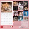 CALENDARI DA PARETE -
2026 WALL CALENDAR -
KITTENS - 30x29 - CATS