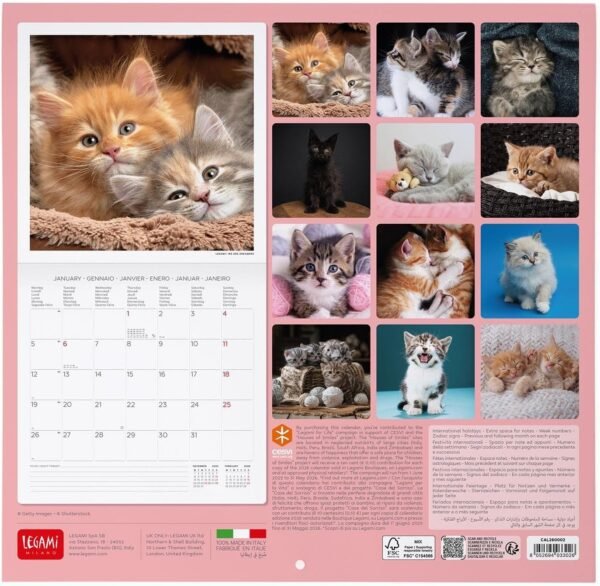 CALENDARI DA PARETE -
2026 WALL CALENDAR -
KITTENS - 30x29 - CATS