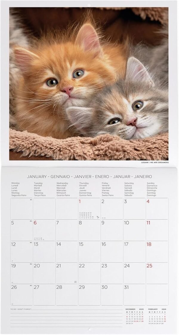 CALENDARI DA PARETE -
2026 WALL CALENDAR -
KITTENS - 30x29 - CATS