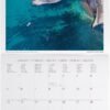 CALENDARI DA PARETE -
2026 WALL CALENDAR -
VITAMIN SEA - 30x29 -
LANDSCAPES