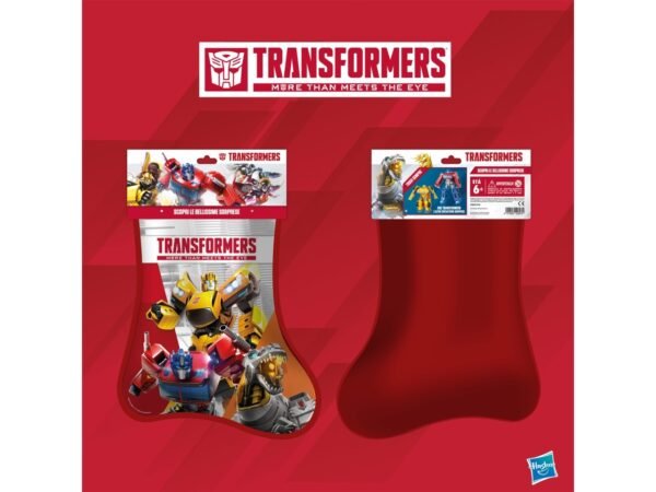 CALZA TRANSFORMERS Q4 2023
