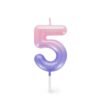 CANDELA PER TORTA -
HAPPY BIRTHDAY CANDLE -
PINK - 5