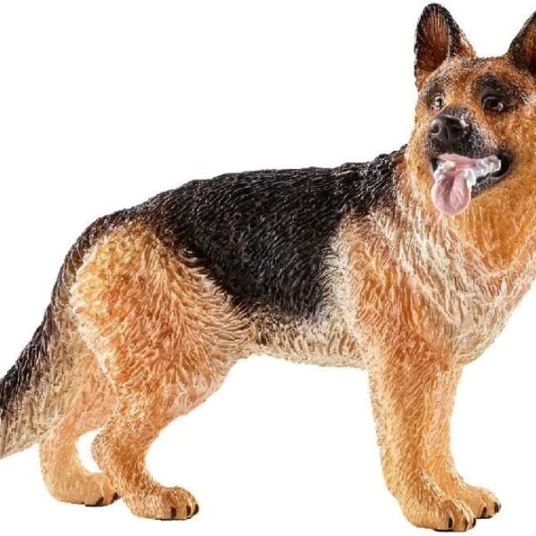 cane-da-pastore.jpg CANE DA PASTORE