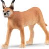Caracal female