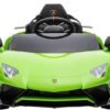 CAVALCABILE LAMBORGHINI AVENT VERDE