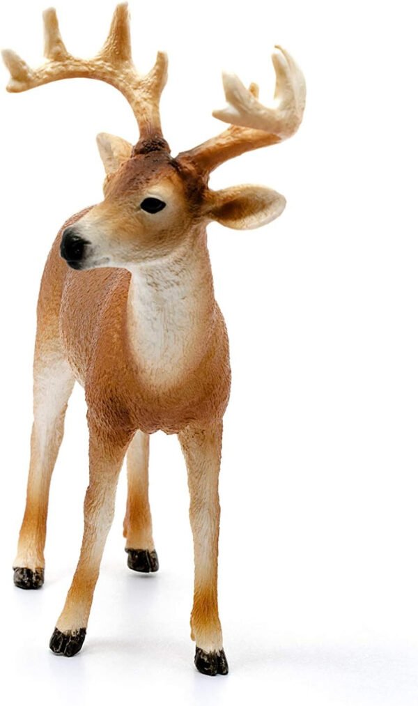 Cervo virginiano