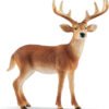 Cervo virginiano