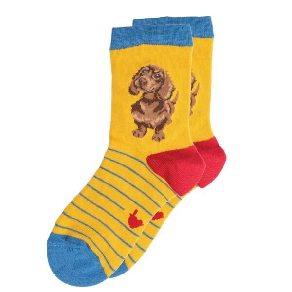 Childrens Socks Dachshund Little One Size 9 to 12