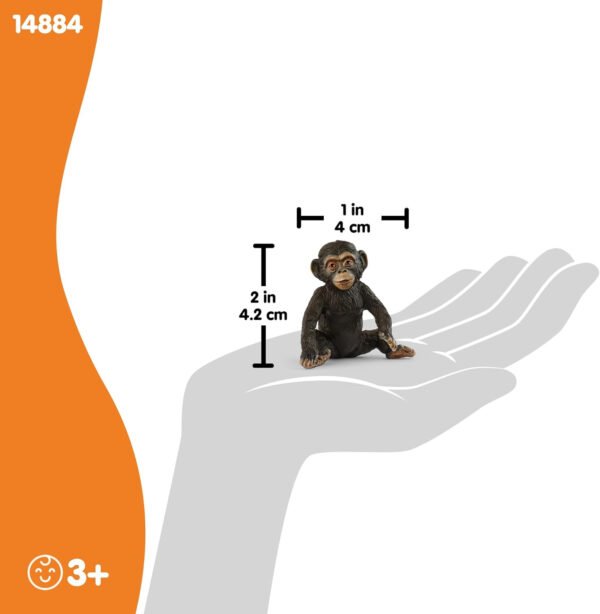 Chimpanzee Cub