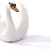 CIGNO