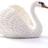 CIGNO