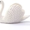 CIGNO