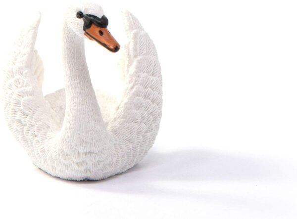 CIGNO