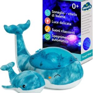 Gioco educativo gelateria Ice Cream Shop