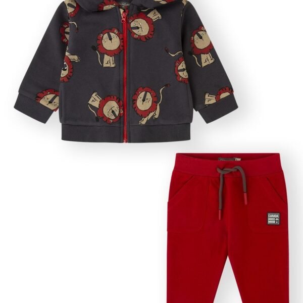 CONJUNTO BBLIONCUB - GRIS OSCUR -   24M - 1